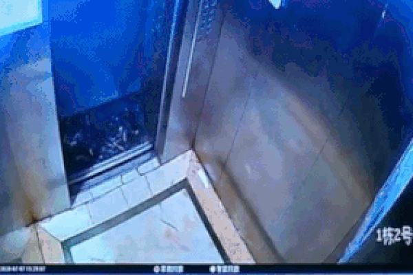Góc vô ý thức: Người đàn ông Trung Quốc thản nhiên đổ rác vào thang máy chung cư