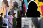 Những lần showbiz Việt chấn động vì các người đẹp bán dâm