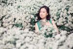 Những lọ hoa đồng nội gợi nhớ tuổi thơ của người phụ nữ gốc Việt