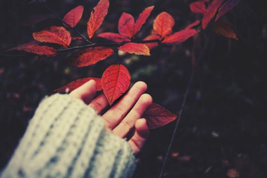 Tử vi thứ Ba ngày 14/7/2020 của 12 con giáp: Mão tình duyên lục đục, Thân mọi sự hanh thông