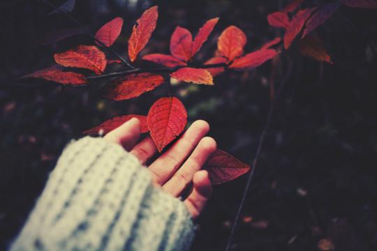 Tử vi thứ Ba ngày 14/7/2020 của 12 con giáp: Mão tình duyên lục đục, Thân mọi sự hanh thông-4