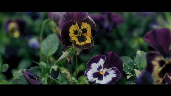 Apple G-Friend: 9 bí ẩn kết nối MV của BTS, TXT, G-Friend còn lâu bạn mới biết-8