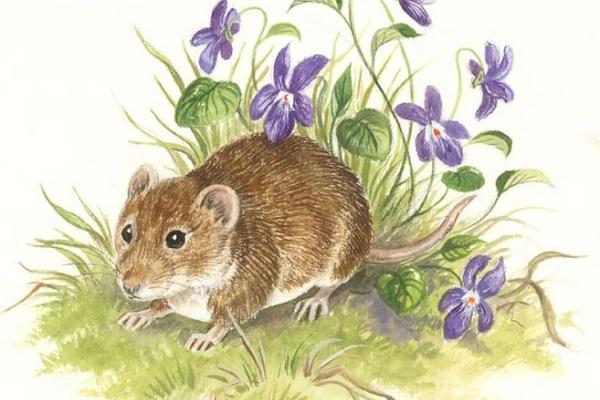 Top 3 con giáp tính tình có phần thất thường nhưng tác phong làm việc mạnh mẽ, có khả năng làm quản lý-2