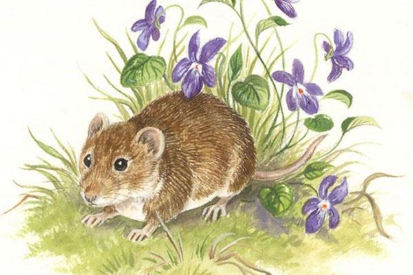 Đặt thứ này trước cửa nhà dễ đánh thức kho tài lộc, làm gì cũng gặp may-4