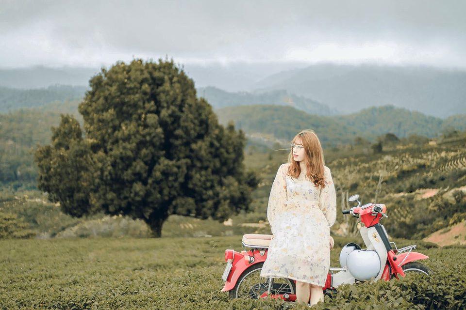 Đổ xô check-in cây thông mập ú chơi vơi giữa mây trời Đà Lạt, nghe đồn khi đi lẻ bóng khi về có đôi!-4