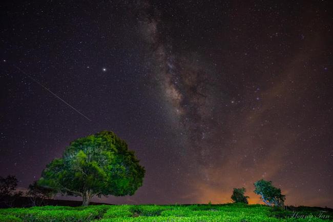 Đổ xô check-in cây thông mập ú chơi vơi giữa mây trời Đà Lạt, nghe đồn khi đi lẻ bóng khi về có đôi!-8