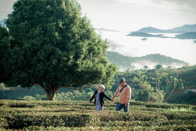 Đổ xô check-in cây thông mập ú chơi vơi giữa mây trời Đà Lạt, nghe đồn khi đi lẻ bóng khi về có đôi!-9