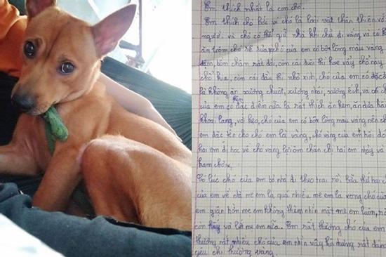 Bật cười với bài văn tả con chó của cô bé tiểu học vì 'có lúc bỏ nhà theo trai'