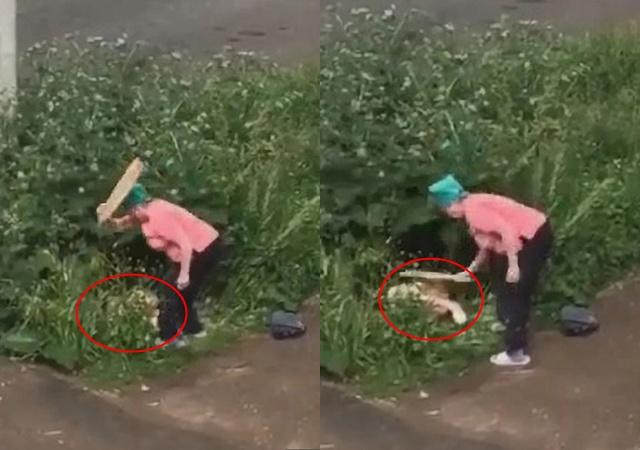 Mây mưa trong bụi rậm, đôi trẻ bị người phụ nữ lớn tuổi đuổi đánh không trượt phát nào-1