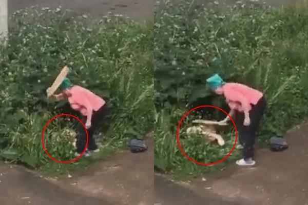 Bất chấp phố xá đông đúc, cặp đôi hôn nhau như nuốt lưỡi ở hồ Tây-8