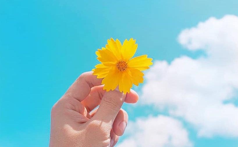 Tử vi thứ 7 ngày 18/7/2020 của 12 con giáp: Hợi thành công xuất sắc, Thìn cần bớt kiêu kỳ-6