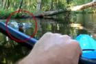 Cá sấu tấn công người chèo kayak