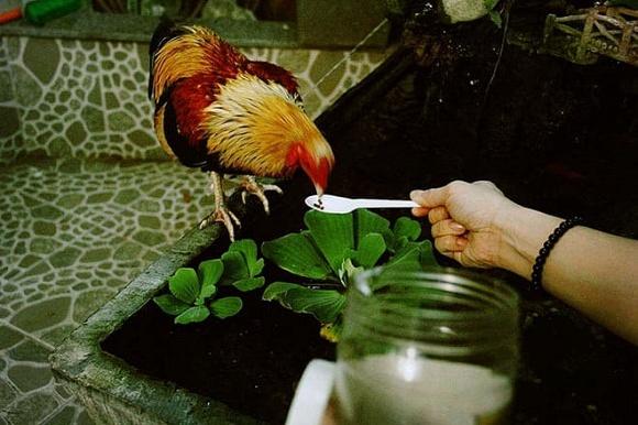 Cuộc sống của Khánh Phương - ca sĩ ở nhà 200 tỷ, từng hẹn hò bí mật với Quỳnh Nga suốt 2 năm giờ ra sao?-4