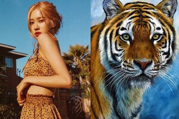 Có 10 điểm khác biệt trong 2 bức tranh này, nếu bạn tìm được thì bạn đúng là cao thủ-3