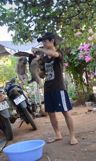 Chàng trai phơi chó trên móc treo, dân mạng tranh cãi kịch liệt-4