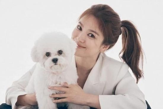 Song Hye Kyo bất ngờ lộ diện hậu tin đồn Song Joong Ki có người mới, truyền tải thông điệp đặc biệt