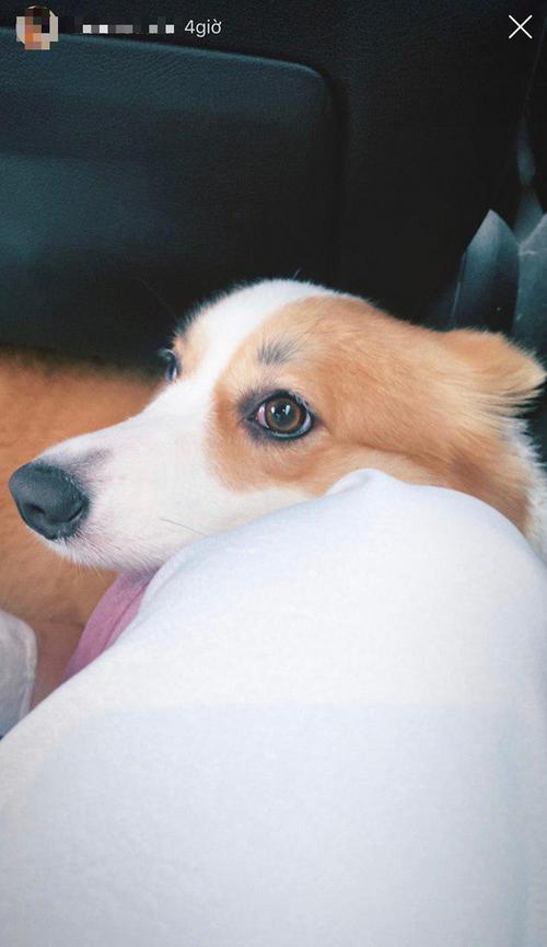 Soobin Hoàng Sơn và bạn gái tin đồn vô tình để lộ chi tiết nghi vấn đang hẹn hò-1