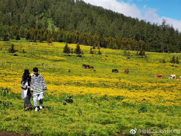 Mẹ chồng chính thức xác nhận Quách Bích Đình mang thai con đầu lòng-2