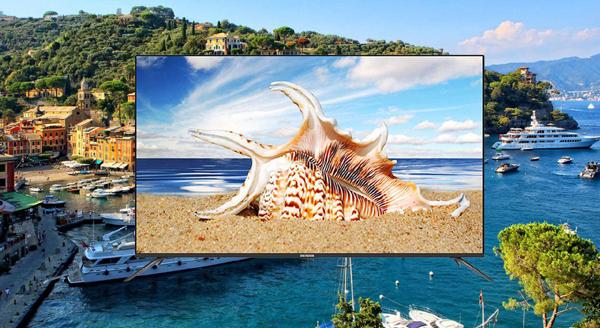 Smart TV 55 inches của Nhật ‘được lòng’ người dùng Việt-1