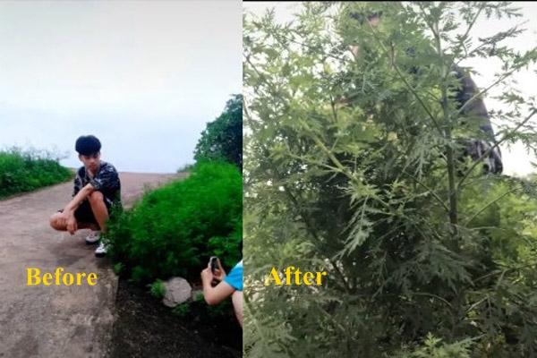 Những pha chụp ảnh tình bể bình của ông bà khiến giới trẻ phải chào thua-6