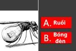 Trắc nghiệm tâm lý: Điều đầu tiên bạn nhìn thấy trong bức tranh tiết lộ tâm lý gần đây của bạn-2