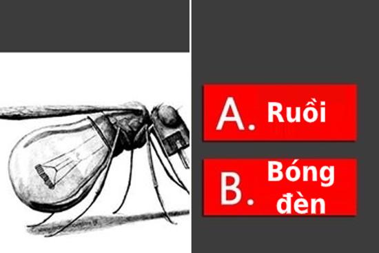 Trắc nghiệm: Đây là con ruồi hay chiếc bóng đèn, câu trả lời sẽ tiết lộ tính cách của bạn?