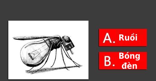 Trắc nghiệm: Đây là con ruồi hay chiếc bóng đèn, câu trả lời sẽ tiết lộ tính cách của bạn?-1