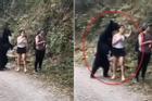 Chú gấu hiếu kỳ 'tạo dáng' chụp ảnh selfie cùng người leo núi