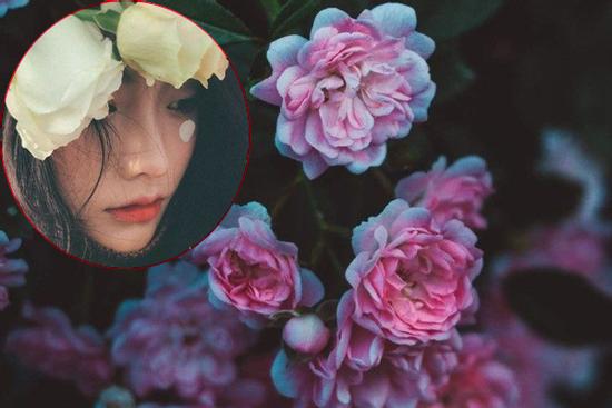 Tử vi thứ 5 ngày 23/7/2020 của 12 con giáp: Dần kinh doanh thành công, Mão cẩn thận sức khỏe