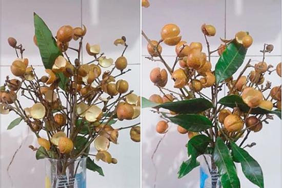 Thanh niên cứng làm hoa nhãn sáng tạo hết phần thiên hạ khiến cao thủ cũng 'xin quỳ'