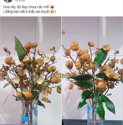 Thanh niên cứng làm hoa nhãn sáng tạo hết phần thiên hạ khiến cao thủ cũng xin quỳ-1