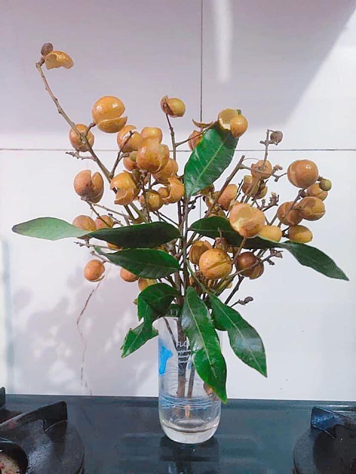 Thanh niên cứng làm hoa nhãn sáng tạo hết phần thiên hạ khiến cao thủ cũng xin quỳ-3