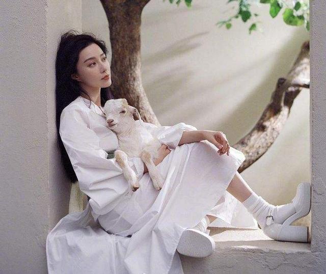 Từ đỉnh rơi xuống đáy, Phạm Băng Băng giờ đây có còn là đại gia của chính mình?-6