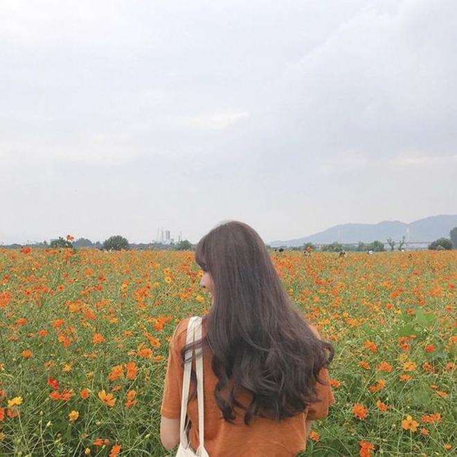 Tử vi thứ 7 ngày 25/7/2020 của 12 con giáp: Tý mọi sự hanh thông, Sửu cẩn thận gặp họa-3