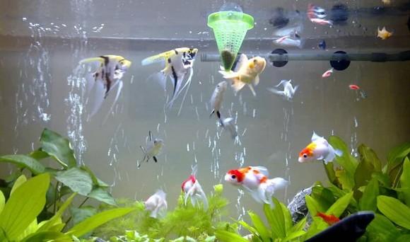 Xui xẻo ập đến, muốn tránh cũng khó nếu gặp những dấu hiệu này, hãy thật cẩn thận-2