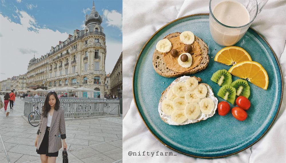 Suất ăn toàn rau củ ngỡ nhạt nhẽo nhưng ngon chẳng kém nhà hàng kiểu Âu của nữ du học sinh Pháp-1