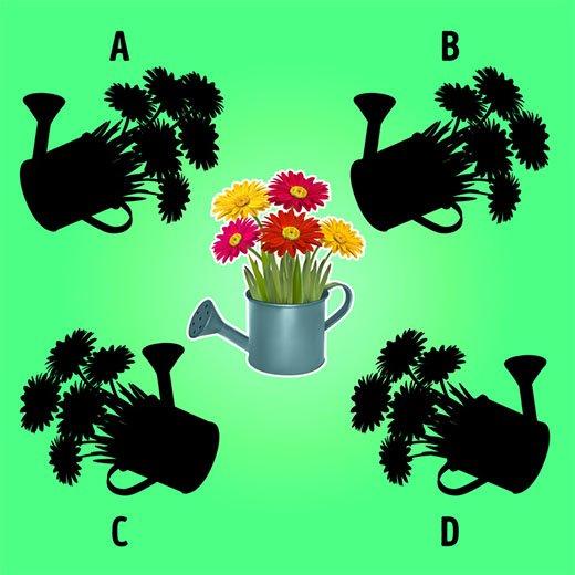 Câu đố thử tài thông minh, nhìn tưởng hack não mà lại đơn giản vô cùng-3