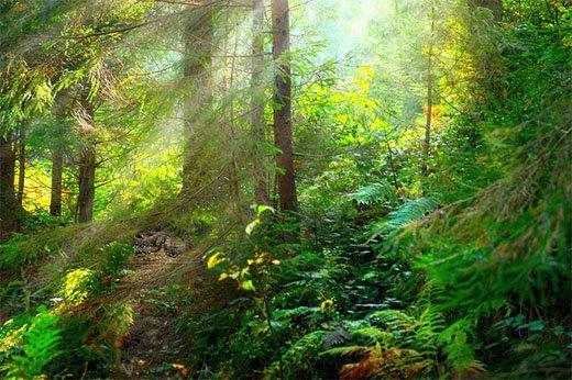 Câu đố thử tài thông minh, nhìn tưởng hack não mà lại đơn giản vô cùng-6