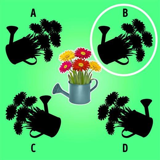 Câu đố thử tài thông minh, nhìn tưởng hack não mà lại đơn giản vô cùng-9