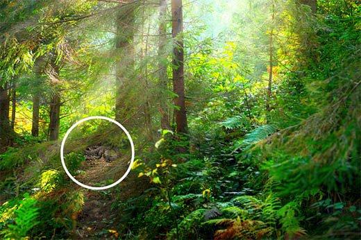 Câu đố thử tài thông minh, nhìn tưởng hack não mà lại đơn giản vô cùng-12