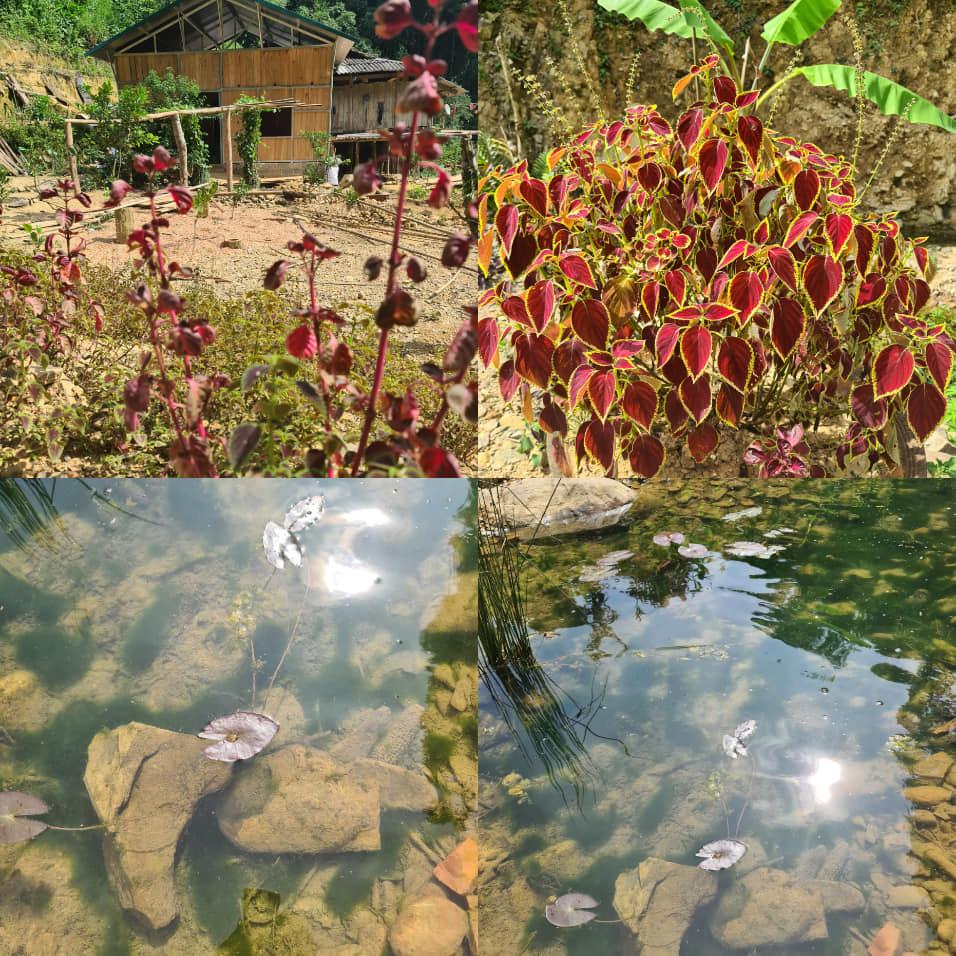 Hơn 1 tháng sau dao kéo, gương mặt cô dâu 63 tuổi ở Cao Bằng vẫn méo lệch-1