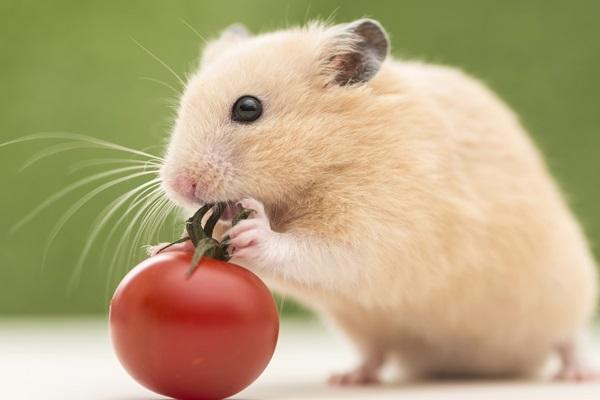 Top 3 con giáp và những lần vạ miệng vô tình khiến hình ảnh của mình tụt dốc khi bị đánh giá EQ thấp-1