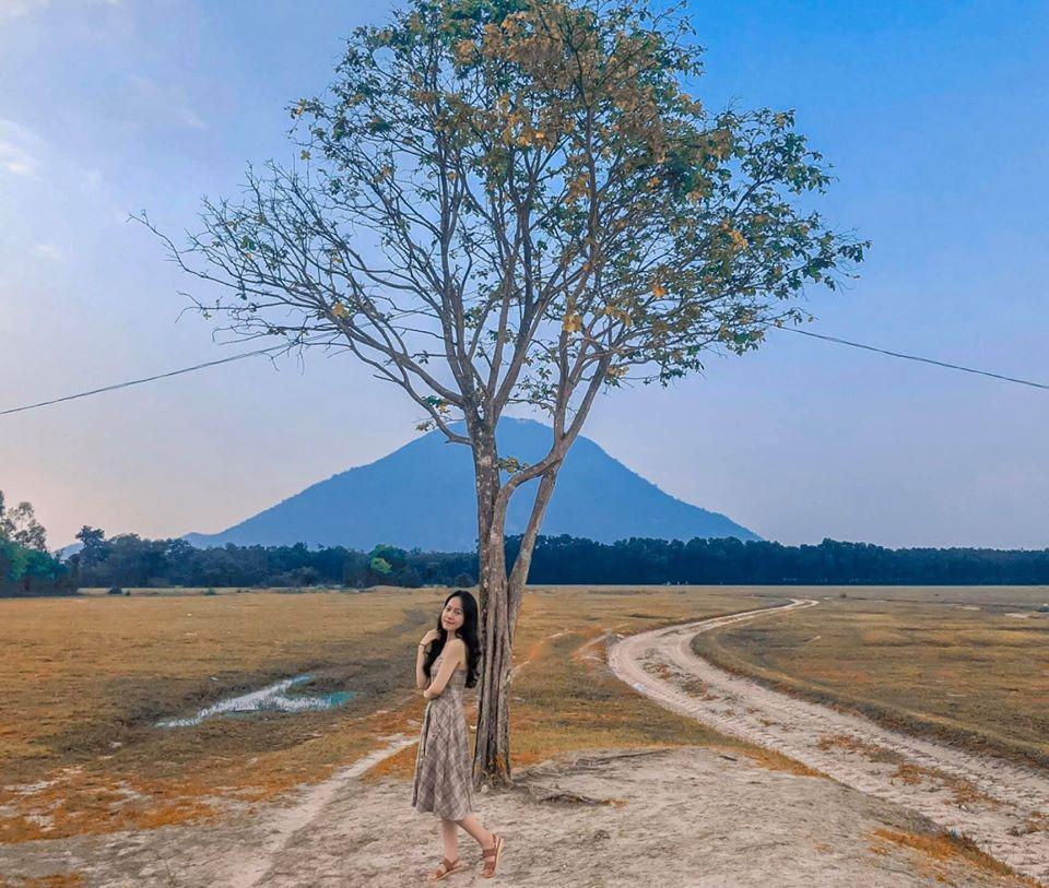 Không đến được Đà Lạt vẫn check-in cháy máy cây cô đơn ở ngay Hà Nội-10