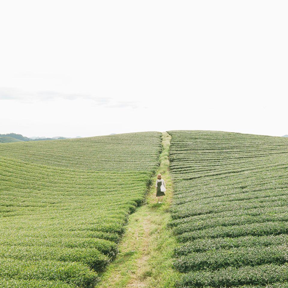 Cùng 9X đi qua mùa hạ ở chốn Mộc Châu không chút xô bồ-2