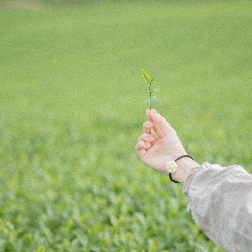 Cùng 9X đi qua mùa hạ ở chốn Mộc Châu không chút xô bồ-3