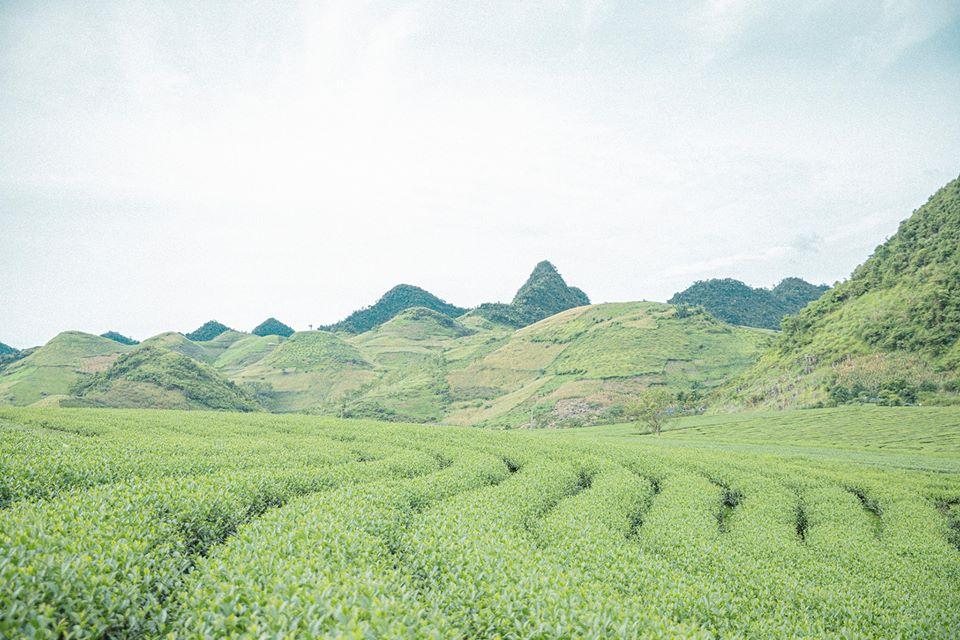 Cùng 9X đi qua mùa hạ ở chốn Mộc Châu không chút xô bồ-12