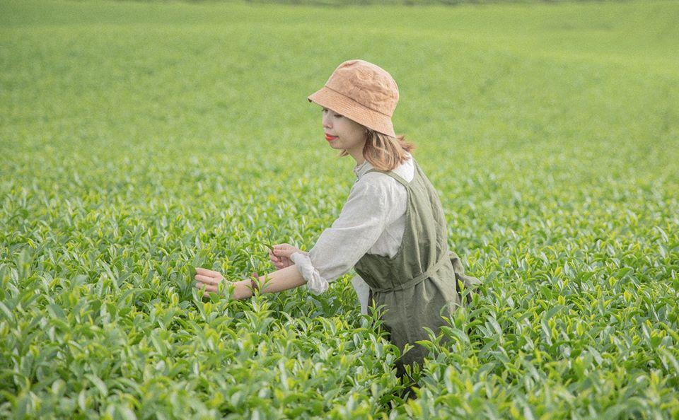 Cùng 9X đi qua mùa hạ ở chốn Mộc Châu không chút xô bồ-9