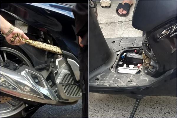 Hú hồn cảnh tượng giải cứu bé Na béo ú bị mắc kẹt trong động cơ xe máy-1