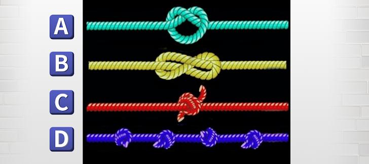 Sợi dây nào dài nhất? Câu trả lời tiết lộ điểm mạnh của bạn-1