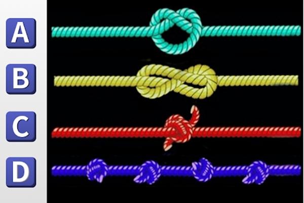 Người đàn ông đang nhìn về hướng nào? Câu trả lời tiết lộ tài năng của bạn-2